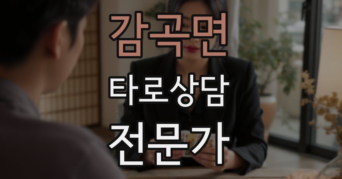 감곡면 타로상담전문가 자격증