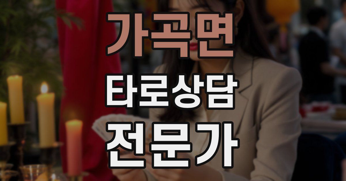 가곡면 타로상담전문가 자격증