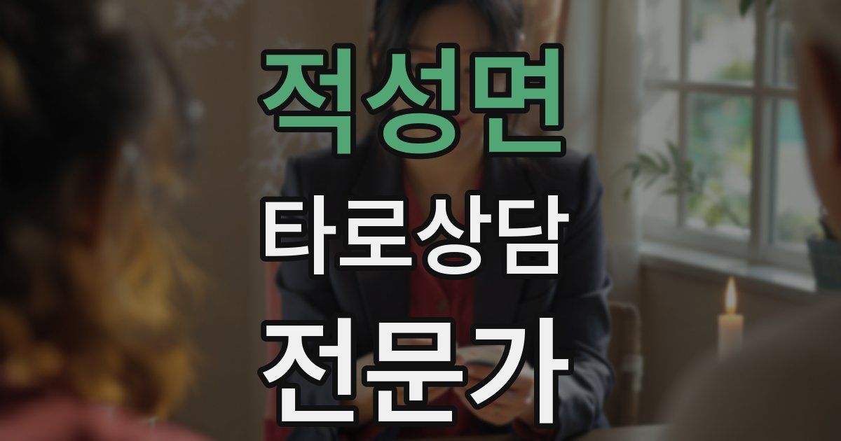 적성면 타로상담전문가 자격증
