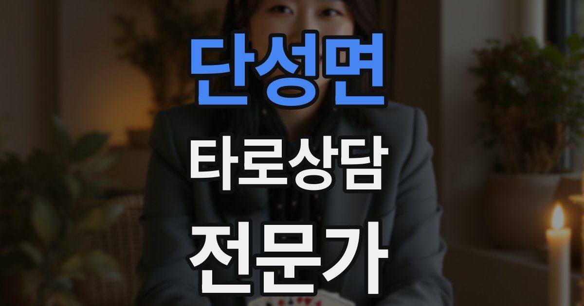 단성면 타로상담전문가 자격증