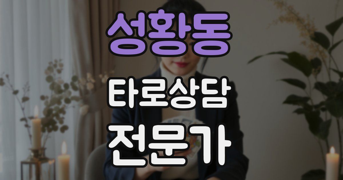 성황동 타로상담전문가 자격증