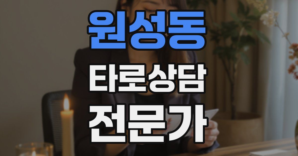 원성동 타로상담전문가 자격증