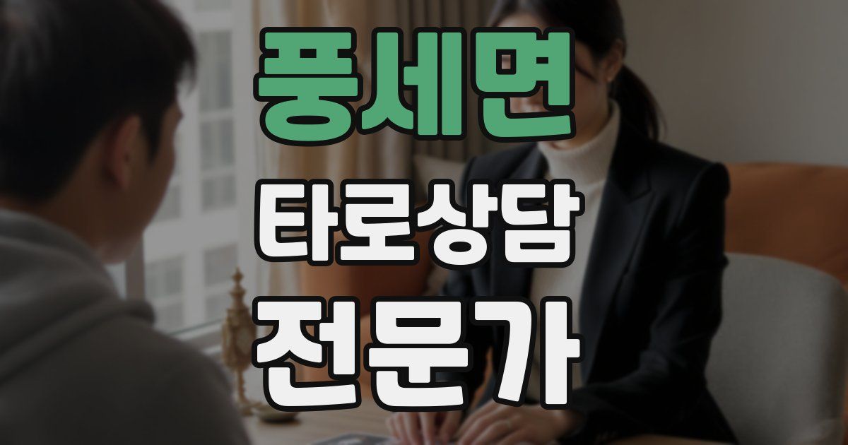 풍세면 타로상담전문가 자격증