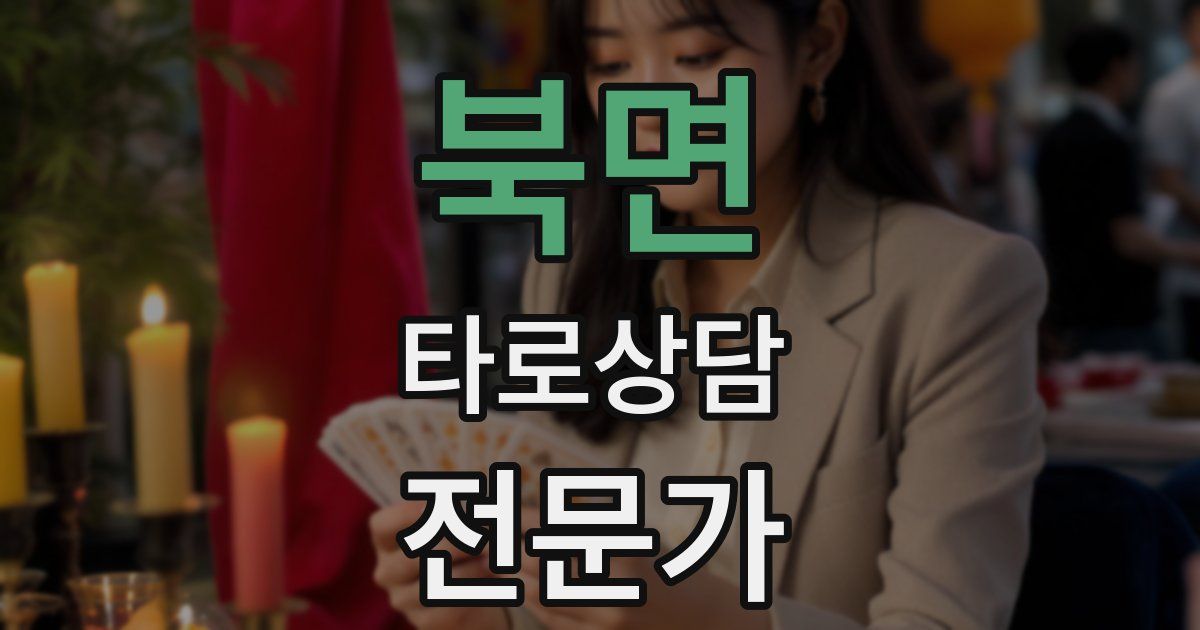 북면 타로상담전문가 자격증