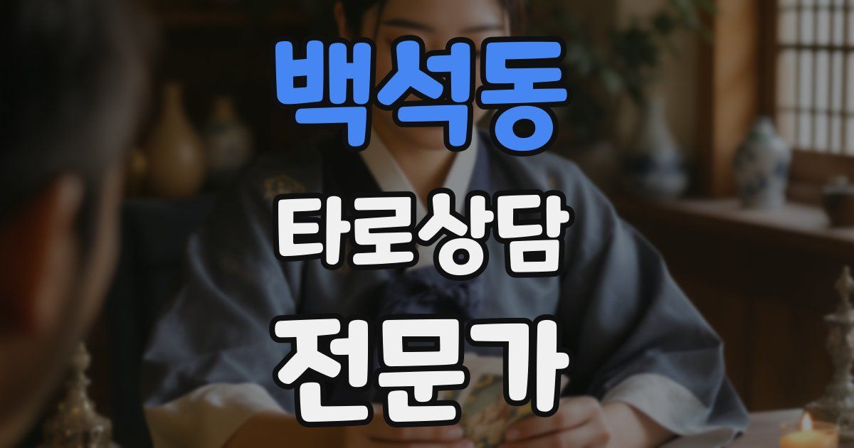 백석동 타로상담전문가 자격증