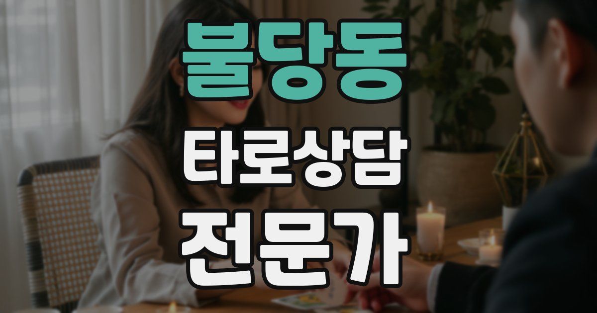 불당동 타로상담전문가 자격증