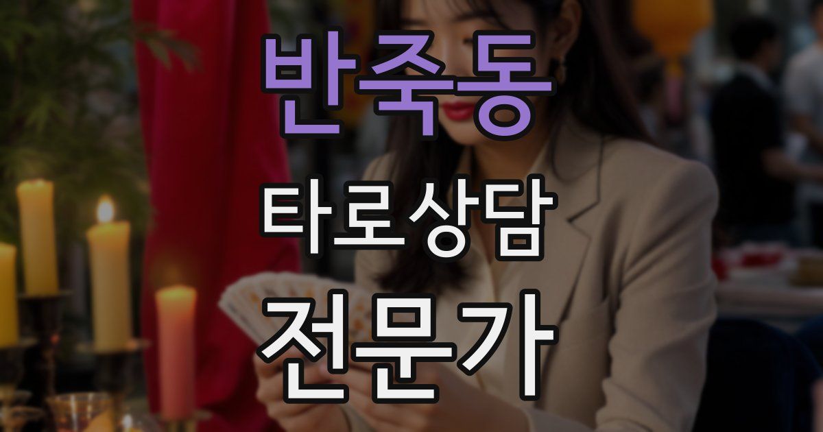 반죽동 타로상담전문가 자격증