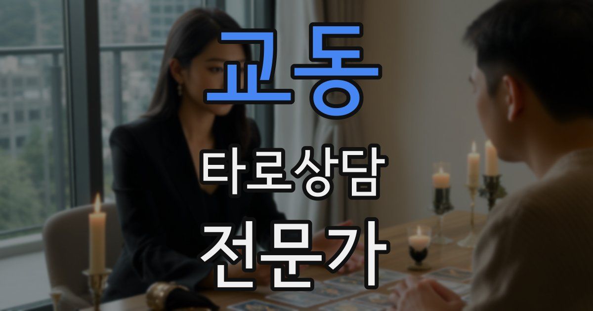 교동 타로상담전문가 자격증