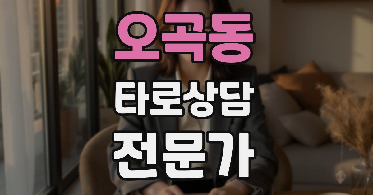 오곡동 타로상담전문가 자격증