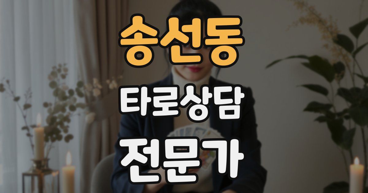 송선동 타로상담전문가 자격증