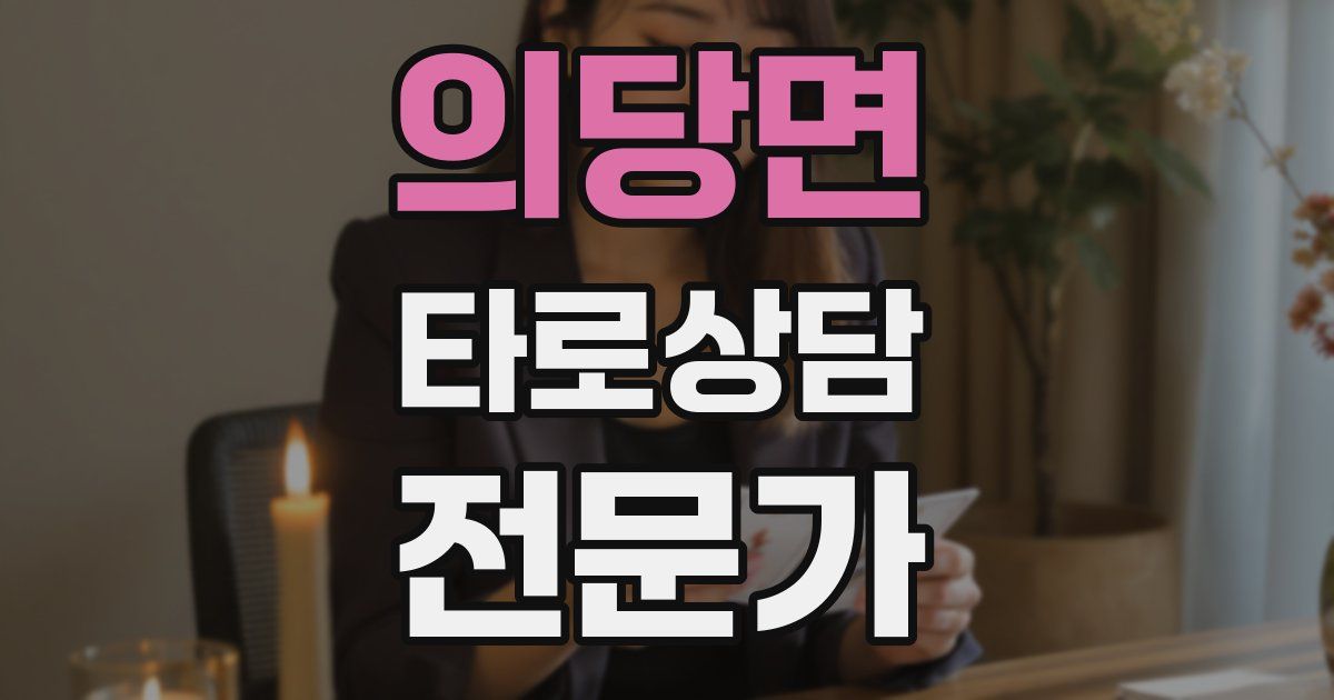 의당면 타로상담전문가 자격증