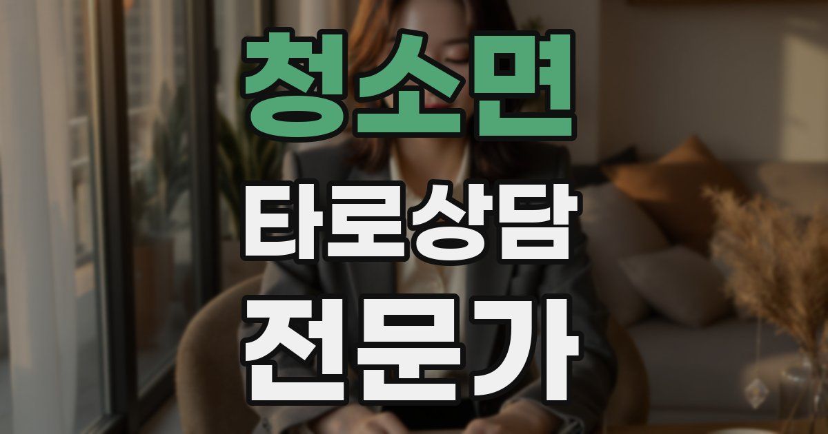 청소면 타로상담전문가 자격증