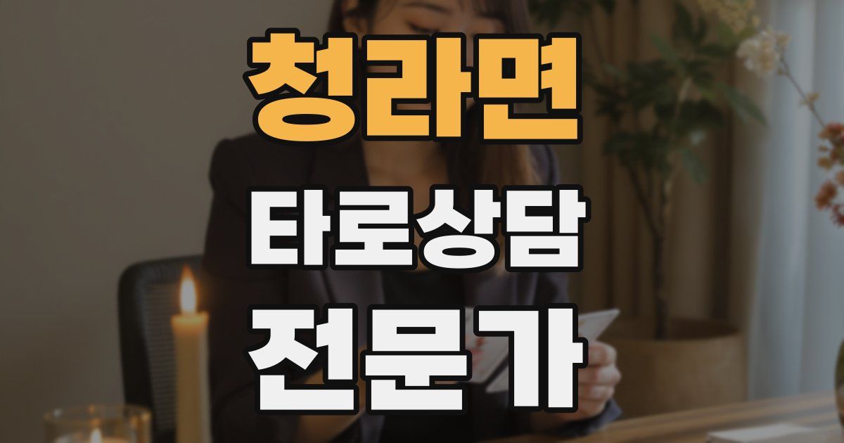 청라면 타로상담전문가 자격증