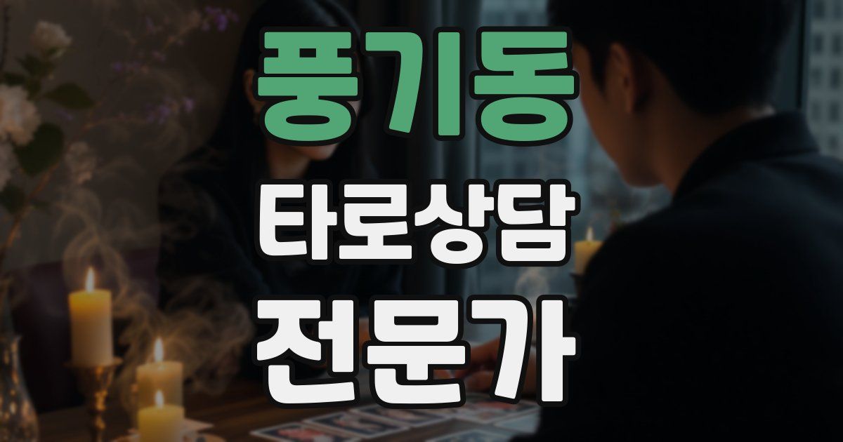 풍기동 타로상담전문가 자격증