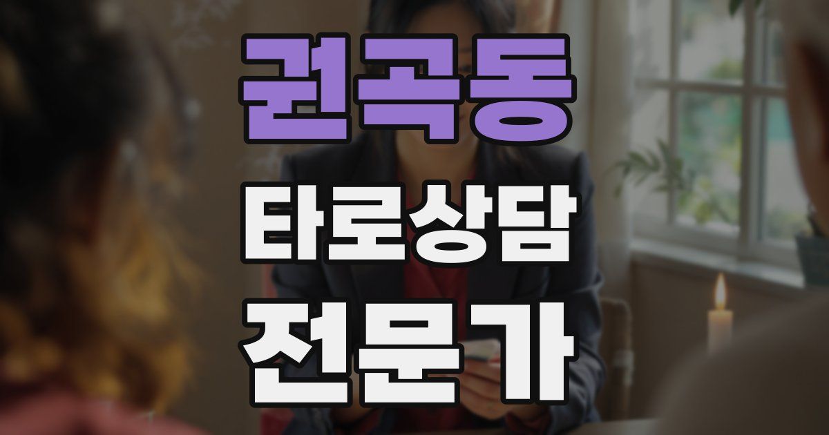 권곡동 타로상담전문가 자격증