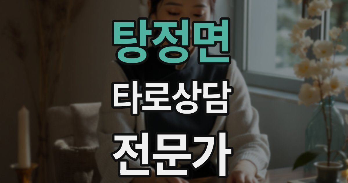 탕정면 타로상담전문가 자격증