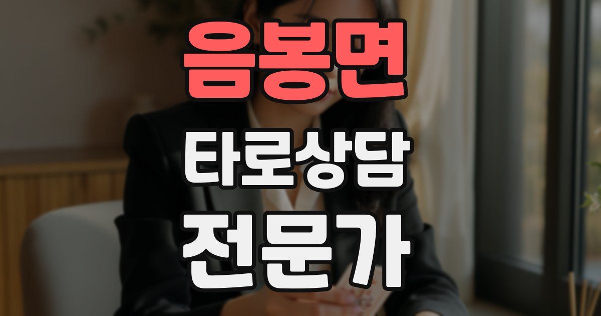음봉면 타로상담전문가 자격증