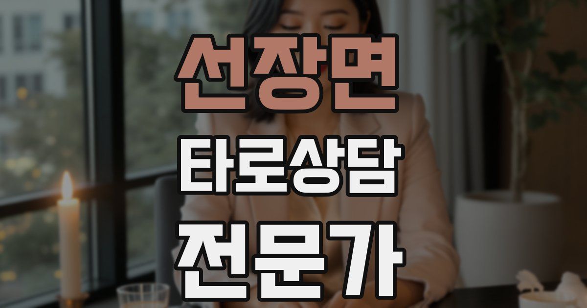 선장면 타로상담전문가 자격증