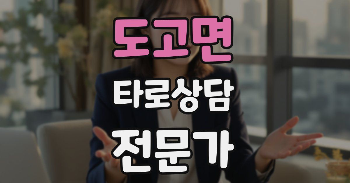 도고면 타로상담전문가 자격증