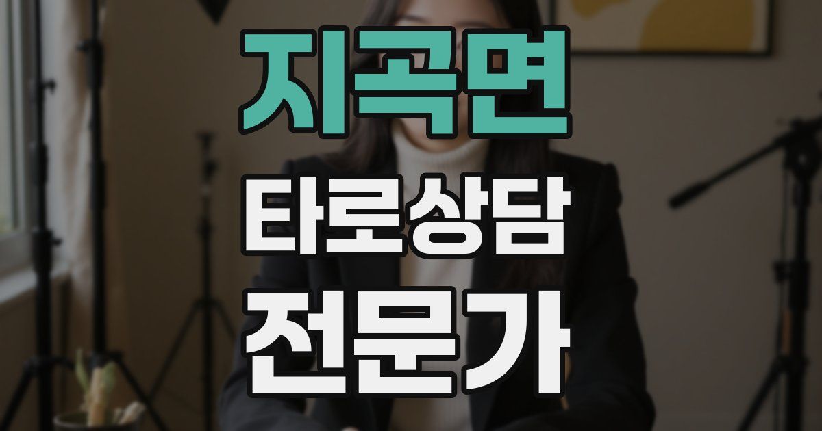 지곡면 타로상담전문가 자격증