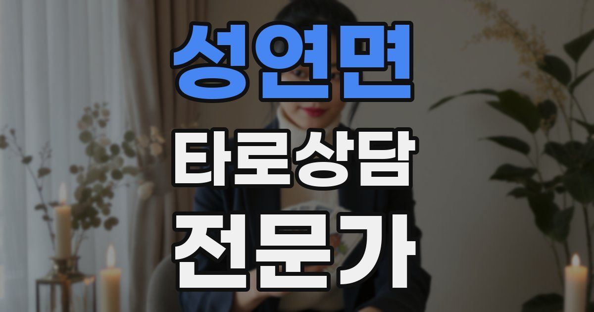 성연면 타로상담전문가 자격증