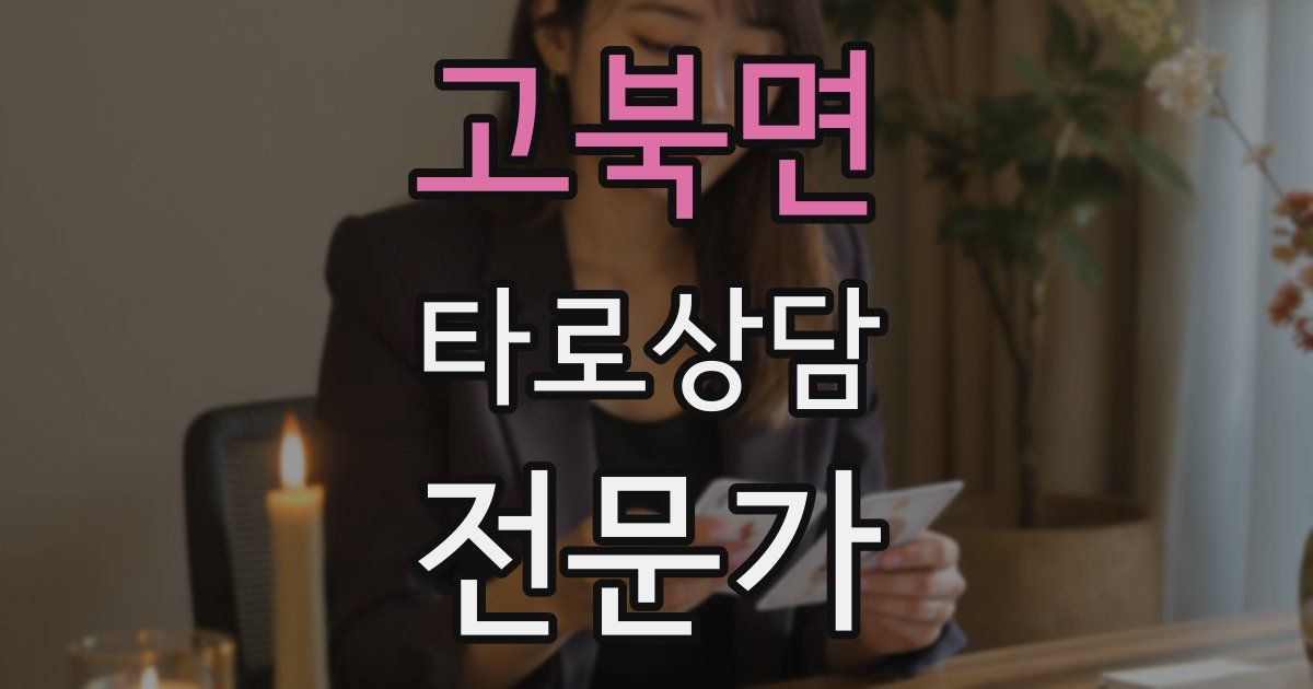 고북면 타로상담전문가 자격증