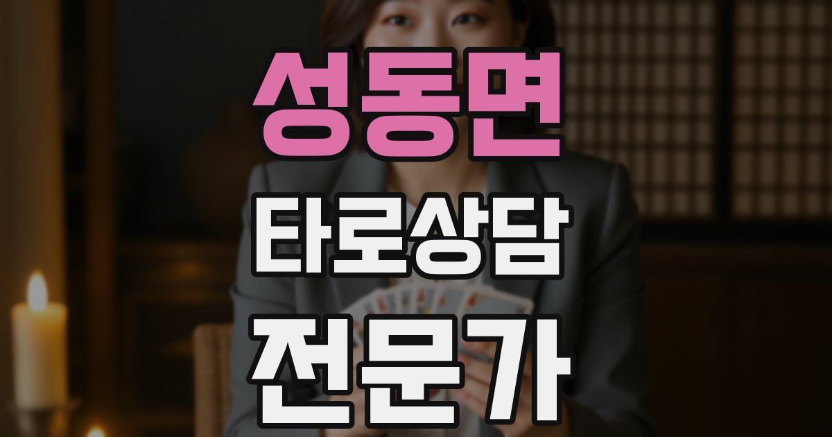 성동면 타로상담전문가 자격증