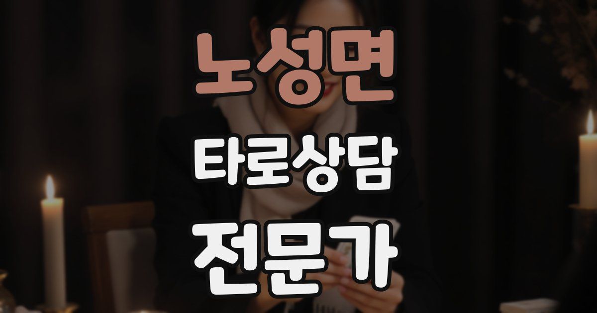 노성면 타로상담전문가 자격증