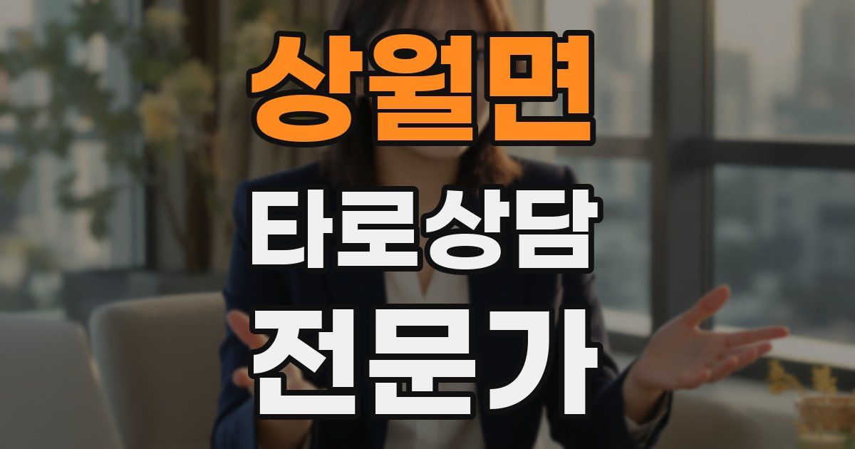 상월면 타로상담전문가 자격증