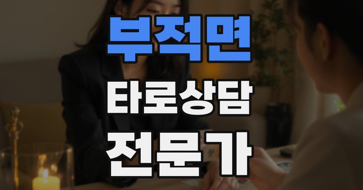 부적면 타로상담전문가 자격증