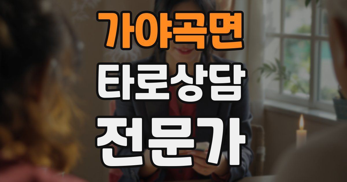 가야곡면 타로상담전문가 자격증