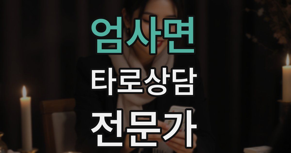 엄사면 타로상담전문가 자격증