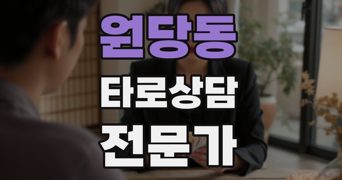 원당동 타로상담전문가 자격증