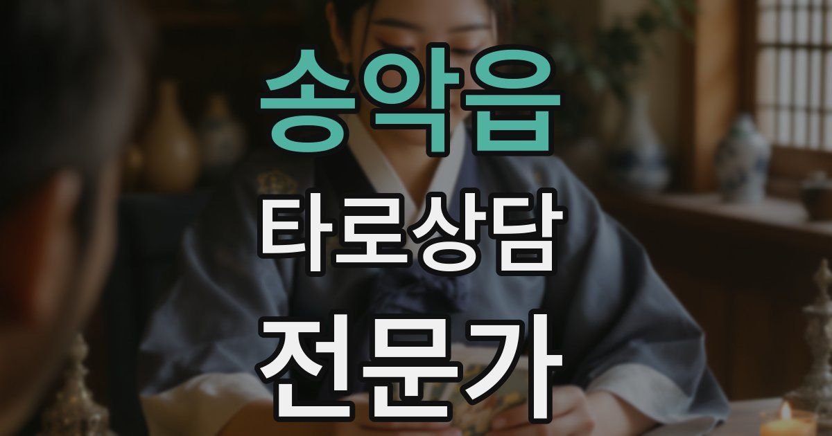 송악읍 타로상담전문가 자격증