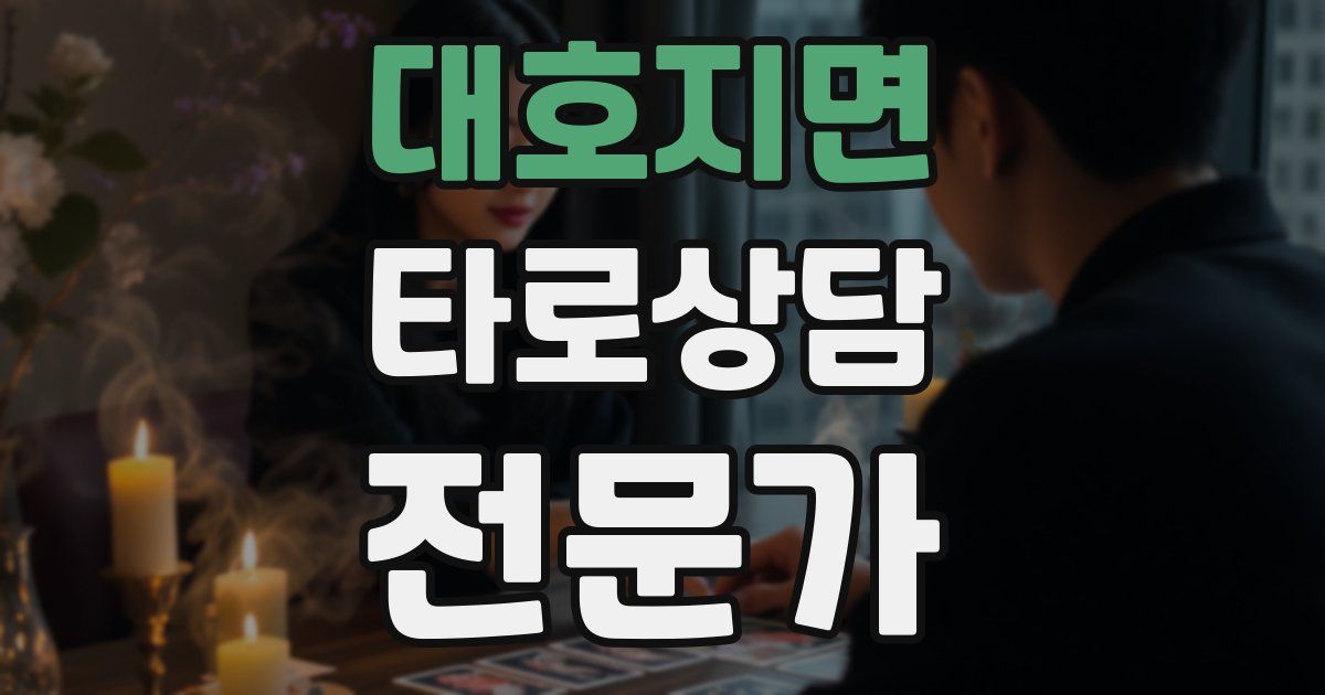 대호지면 타로상담전문가 자격증