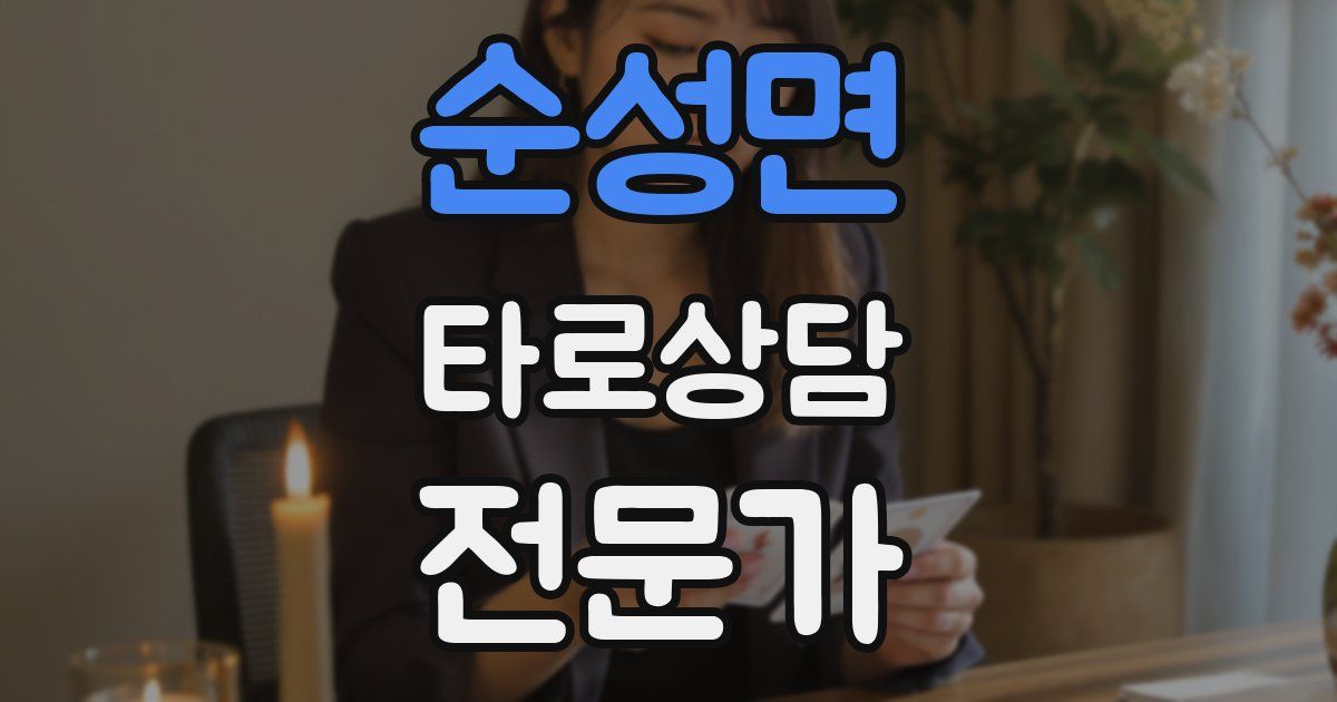 순성면 타로상담전문가 자격증