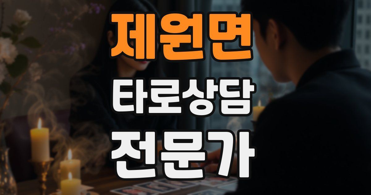 제원면 타로상담전문가 자격증