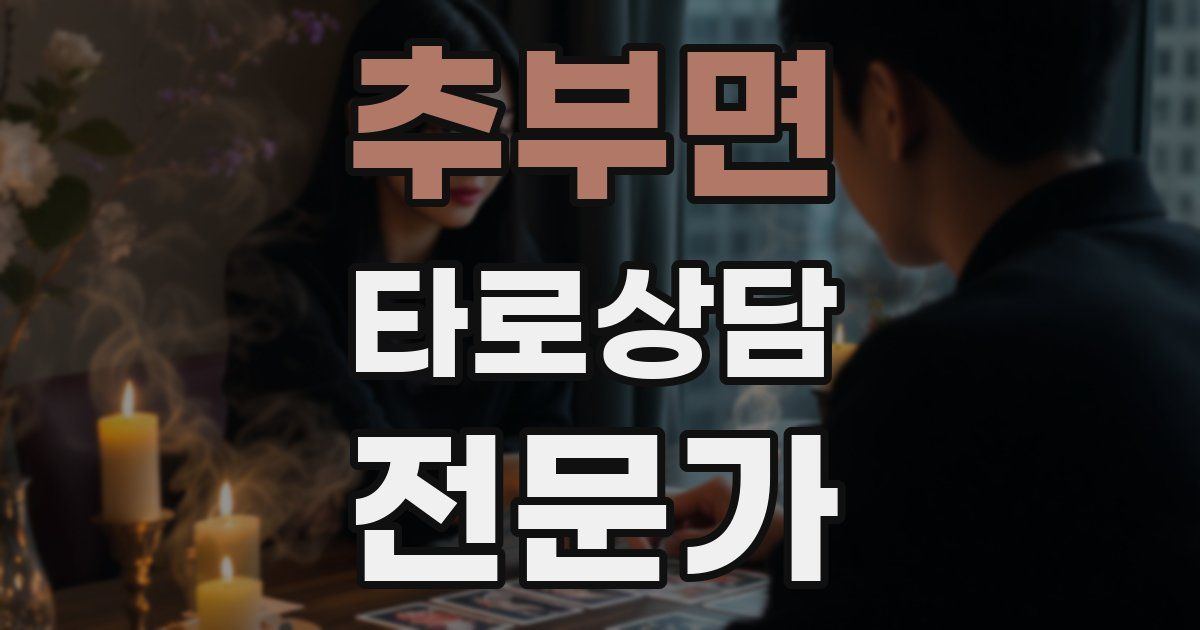 추부면 타로상담전문가 자격증