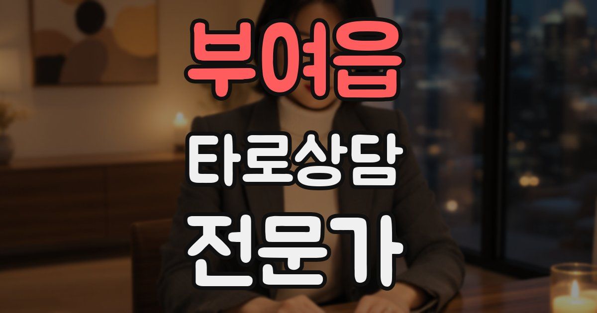 부여읍 타로상담전문가 자격증
