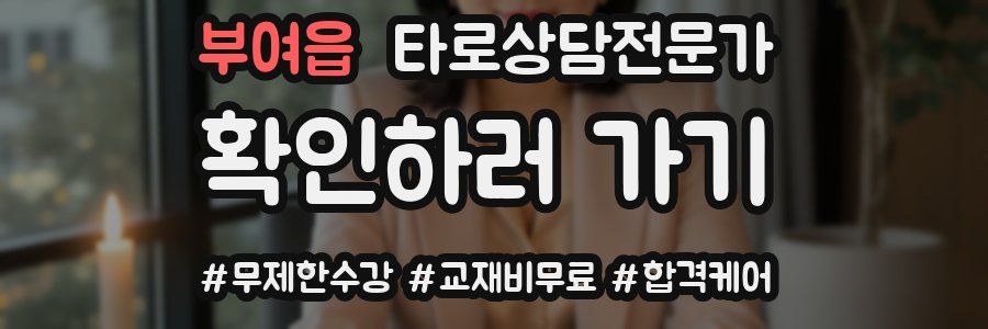 부여읍 타로상담전문가 자격증