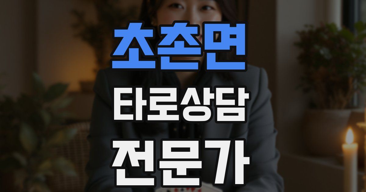 초촌면 타로상담전문가 자격증