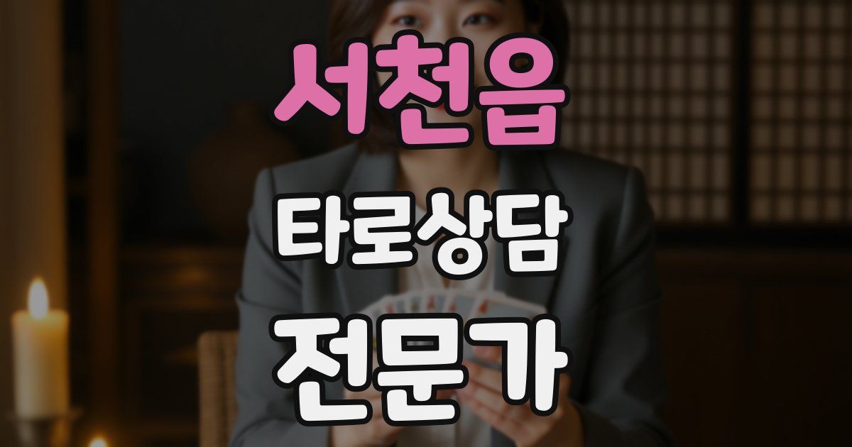 서천읍 타로상담전문가 자격증