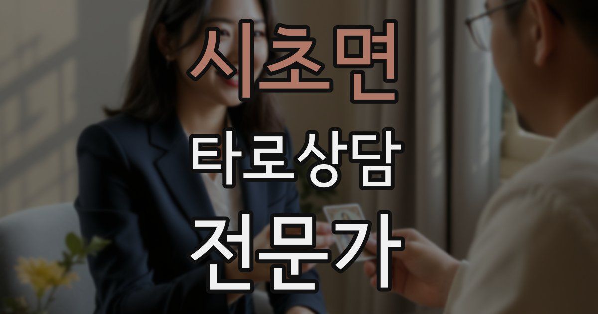 시초면 타로상담전문가 자격증