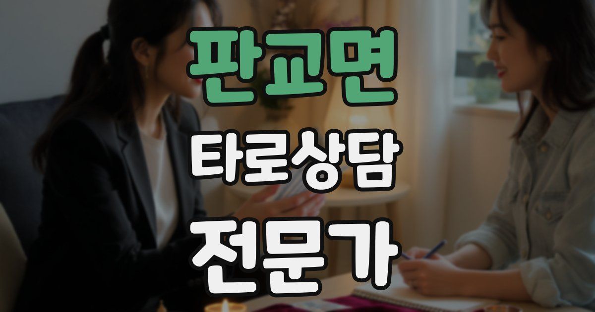판교면 타로상담전문가 자격증
