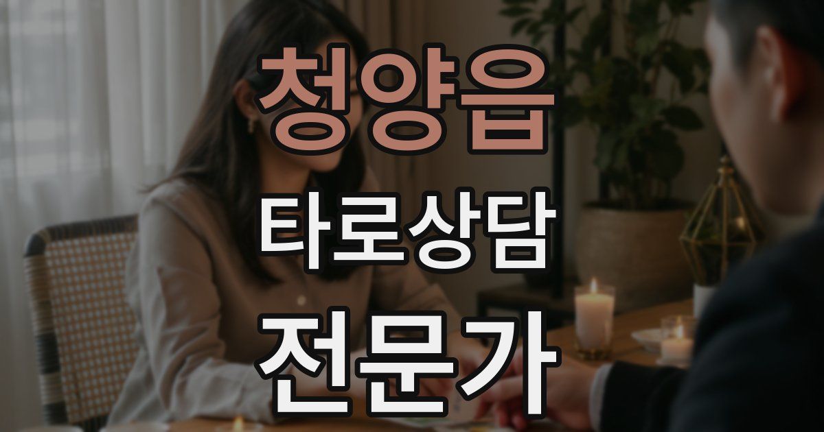 청양읍 타로상담전문가 자격증