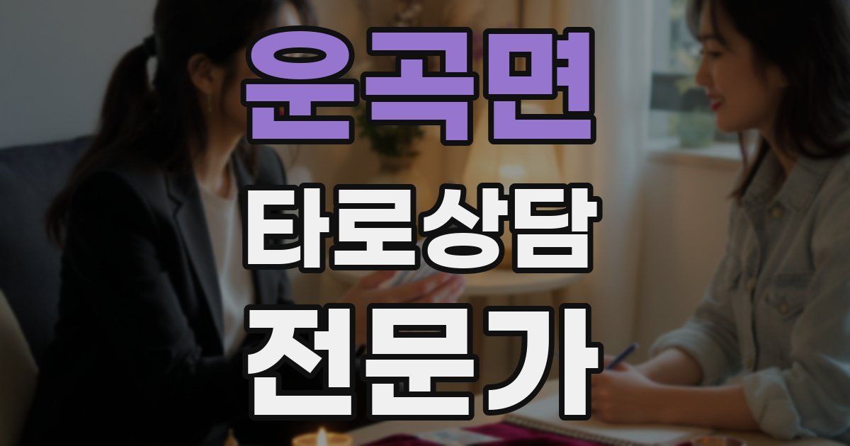 운곡면 타로상담전문가 자격증