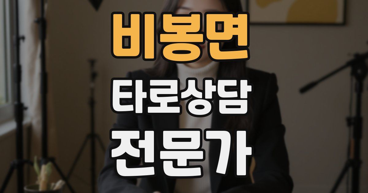 비봉면 타로상담전문가 자격증