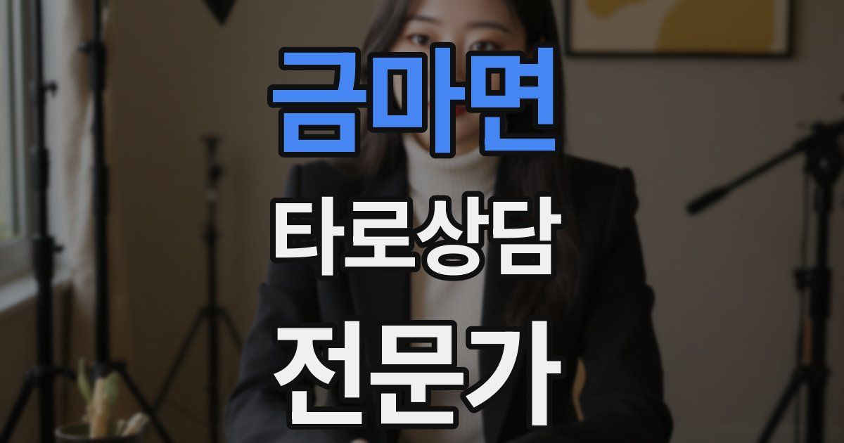 금마면 타로상담전문가 자격증