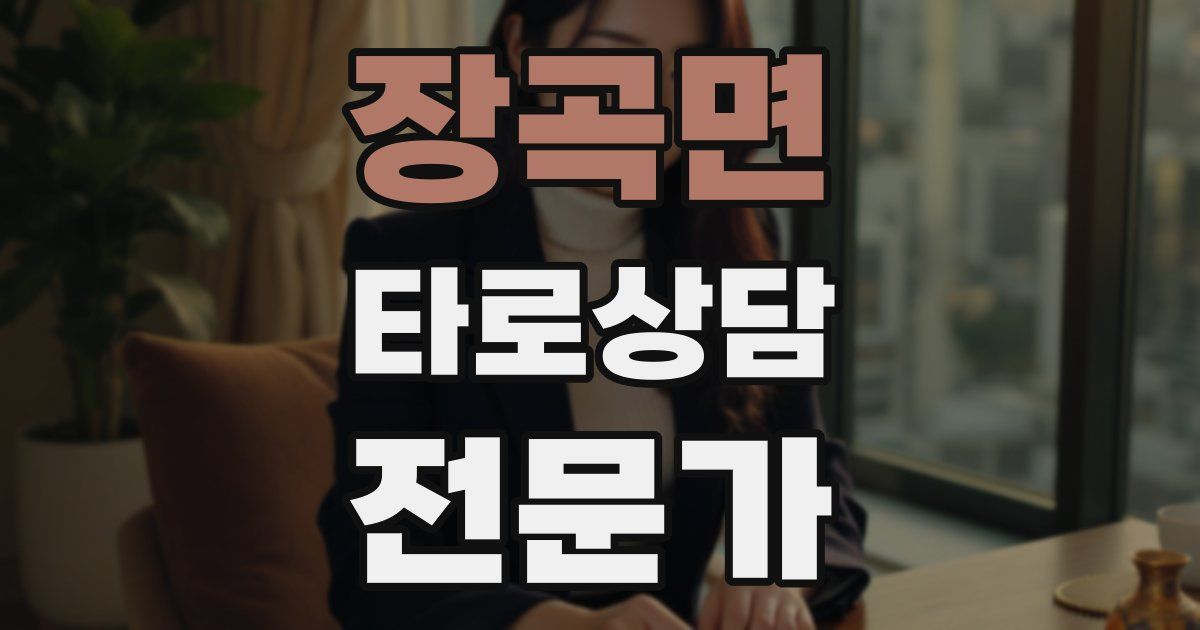 장곡면 타로상담전문가 자격증