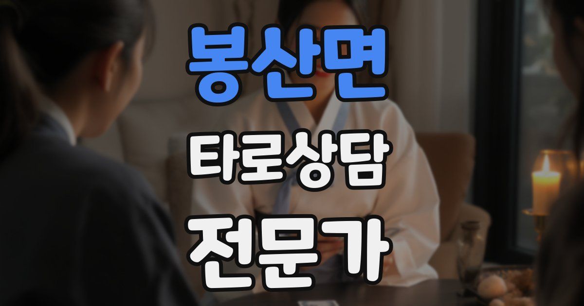 봉산면 타로상담전문가 자격증